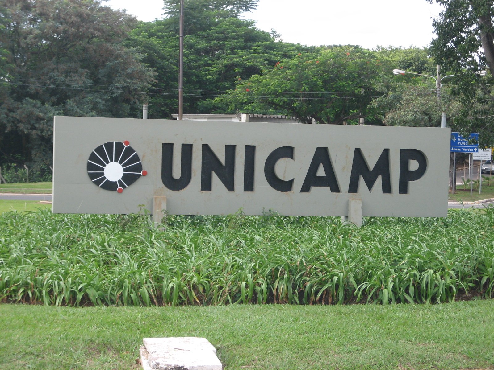 Photo: Priscila Micaroni Lalli / CC BY-SA 2.5 via Wikimedia Commons State University of Campinas (Unicamp)
