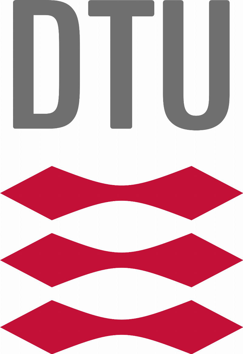 Technical University of Denmark (DTU) logo