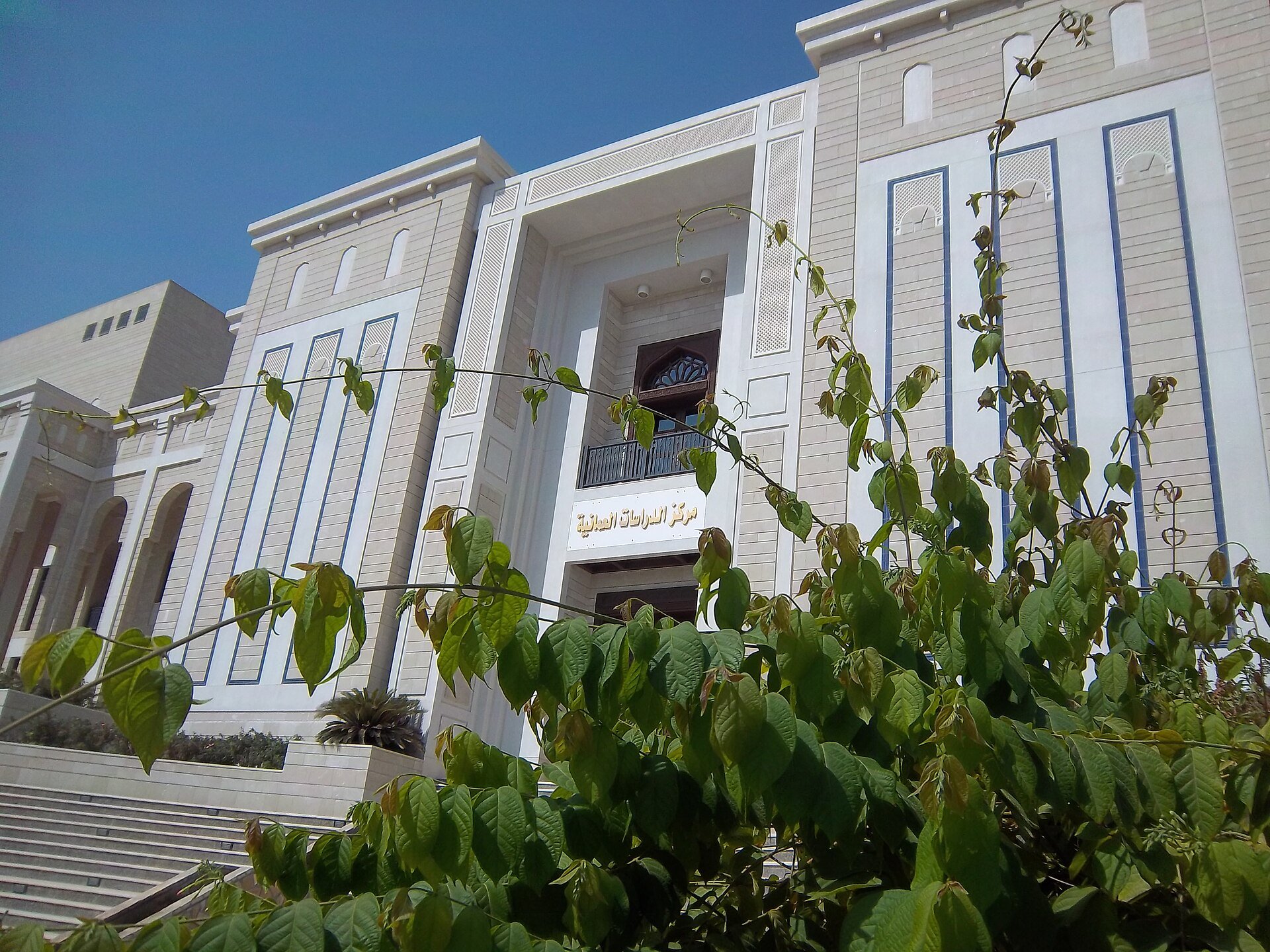 Photo: Abdullah Al Maani / CC BY-SA 4.0 via Wikimedia Commons Sultan Qaboos University