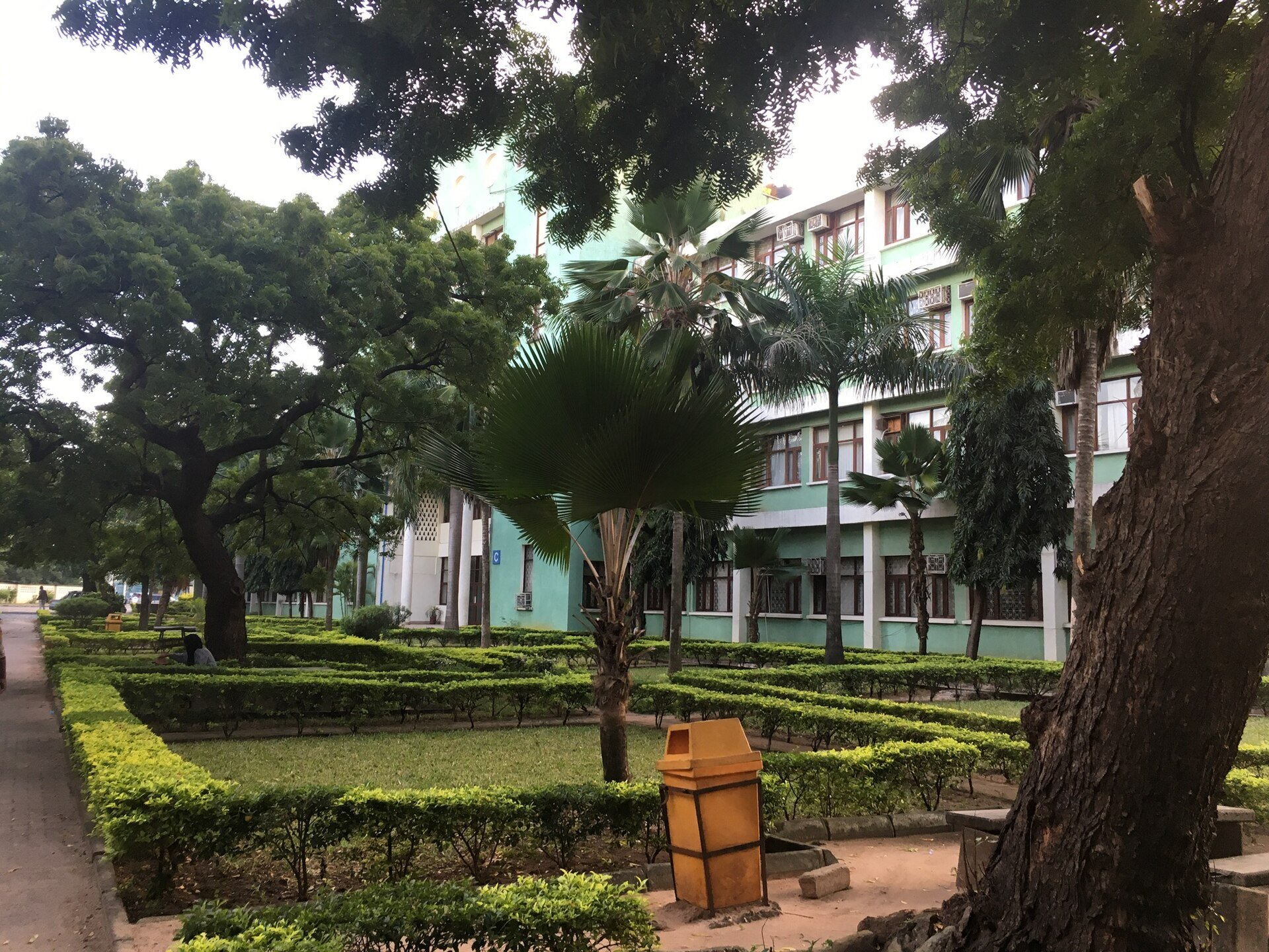 Muhimbili University of Health and Allied Sciences (MUHAS)